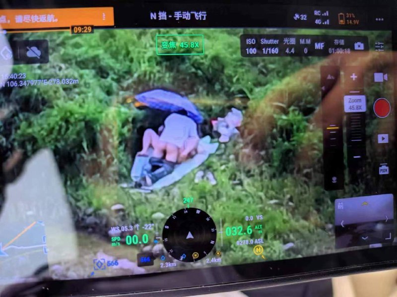 看看我发现了什么  #野战 #打野看看我发现了什么  #野战 #打野