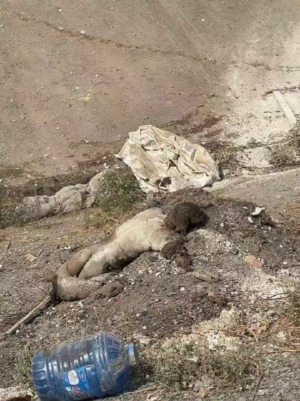 越南 同奈省（Dong Nai）一间 木材 #工厂 1日上午发生 #爆炸 事件，当时厂内约有30名员工正在工作，造成6人丧生，其中包括一名中国籍工人，还有另外7人受伤