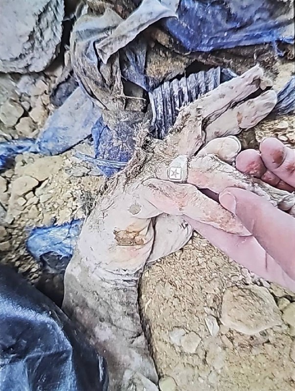 伊朗阿里·拉里贾尼已被斩首，身份确认