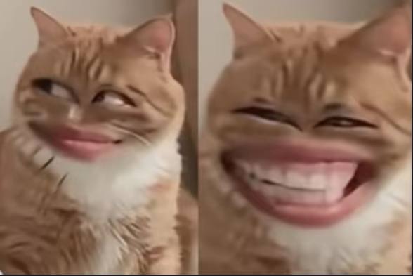 不拿一针一线belike🥺🥺🥺不拿一针一线belike🥺🥺🥺