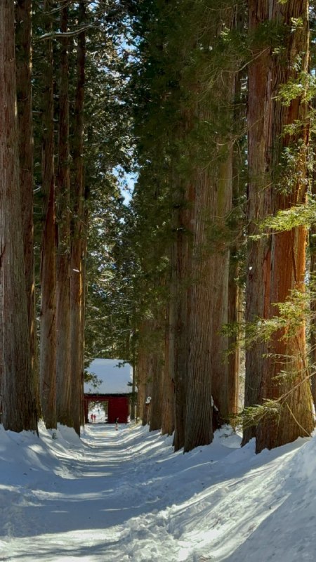 #日本  #长野  #户隐神社   #徒步  #户外徒步#日本  #长野  #户隐神社   #徒步  #户外徒步