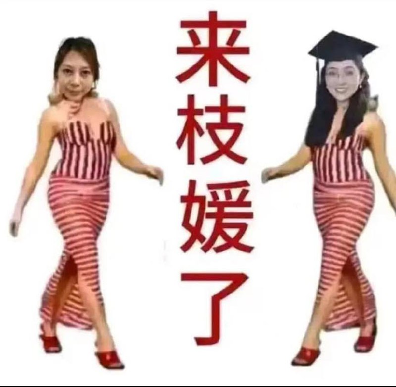 “枝性美”充斥你的评论区了“枝性美”充斥你的评论区了