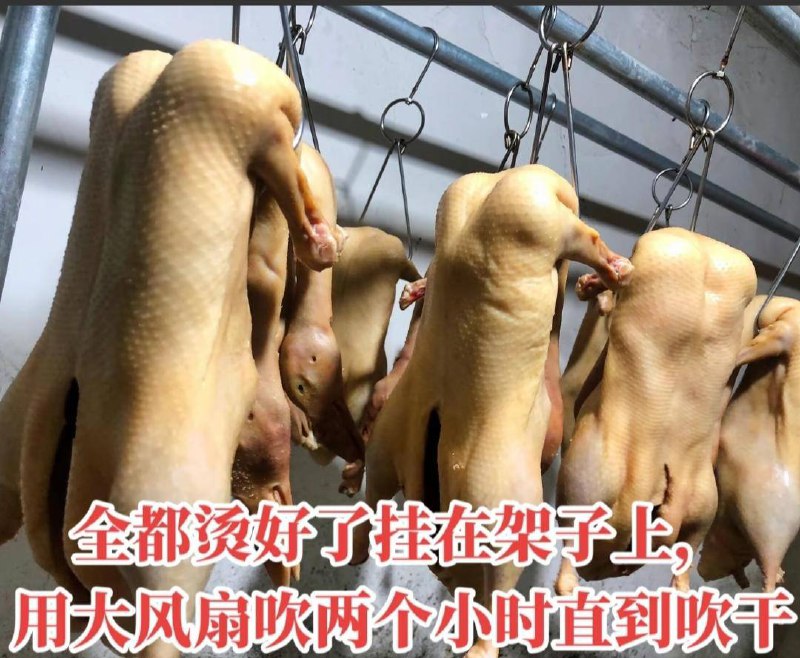 烧鸭 #科技与狠活 色素加25元冰冻白条鸭就是这样制作的烧鸭 #科技与狠活 色素加25元冰冻白条鸭就是这样制作的