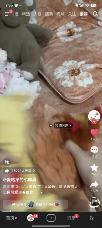 抖音上的“团派运动”一只维尼熊被一只公鸡踹开的视频评论区依旧被关闭我不知道群u们对于胡锦涛的评价是怎么样，我觉得他算挺好的了抖音上的“团派运动”一只维尼熊被一只公鸡踹开的视频评论区依旧被关闭我不知道群u们对于胡锦涛的评价是怎么样，我觉得他算挺好的了