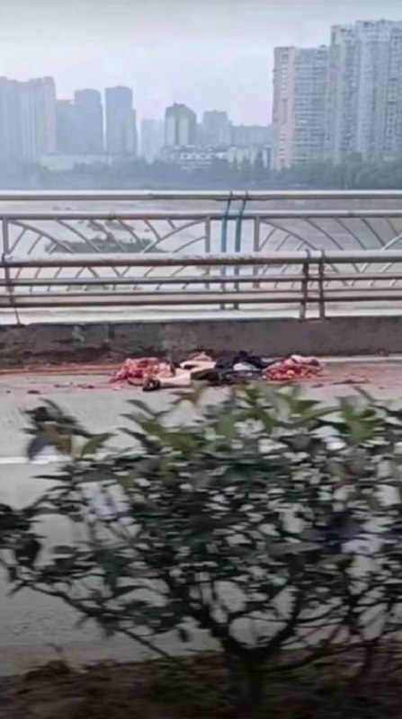 7.16 四乐山3号桥，外卖小哥被撞死 #血腥 #车祸7.16 四乐山3号桥，外卖小哥被撞死 #血腥 #车祸