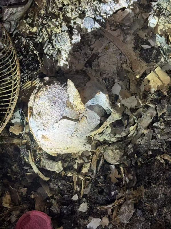 消防 及 警方 进入 #火灾 遗址 搜证 #尸体#火灾 #恐怖 香港 🇭🇰 大火 #事件 #后续#香港 #火灾 大火 最新遇难人数公布遇难者 增至151人警方 哽咽 介绍搜救进展