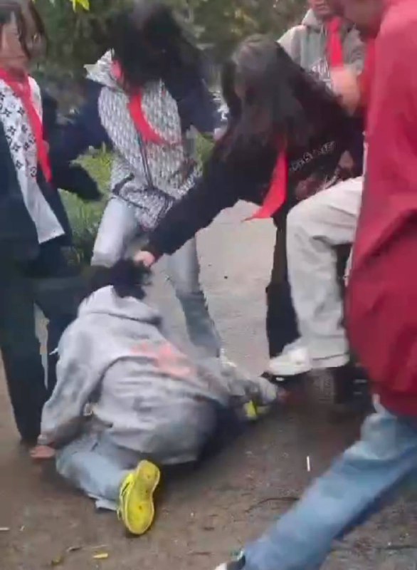 红领巾 #学生 #霸凌 #畜生 社会影响恶劣，教育局回复