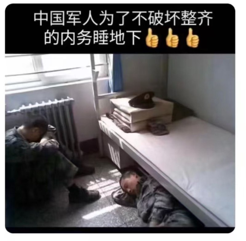 听党指挥，汪汪汪汪，汪汪汪汪！