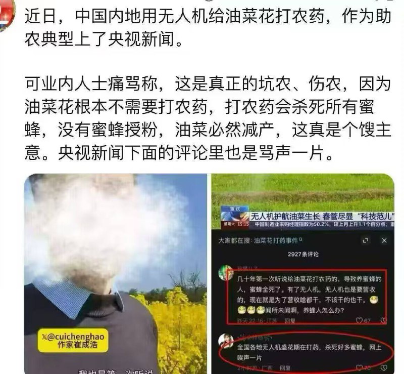 现在日本人在油菜花下毒？现在很多平台都有人信，先前是下毒毒蜜蜂，现在又说灭绝油菜花，并且还说农业部的官员周广生是山田广生，说听出日本囗音，视频评论区也出现要袭击日本人学校的言论，现在日本人在油菜花下毒？现在很多平台都有人信，先前是下毒毒蜜蜂，现在又说灭绝油菜花，并且还说农业部的官员周广生是山田广生，说听出日本囗音，视频评论区也出现要袭击日本人学校的言论，