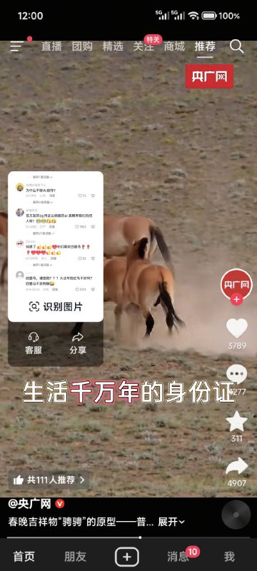 这就是我们中国最高质的视频这就是我们中国最高质的视频