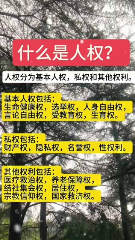 这些中国都没有