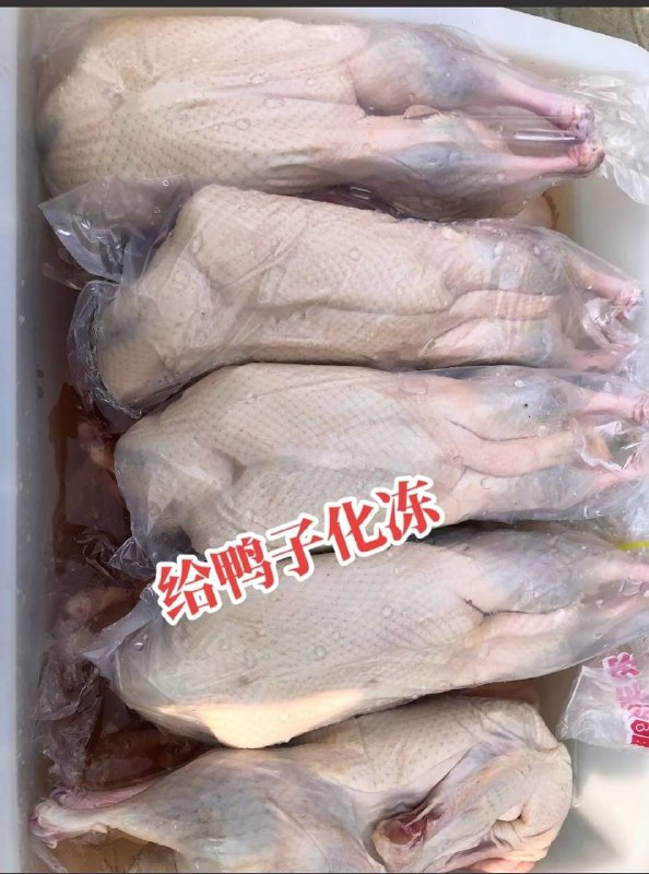 烧鸭 #科技与狠活 色素加25元冰冻白条鸭就是这样制作的烧鸭 #科技与狠活 色素加25元冰冻白条鸭就是这样制作的