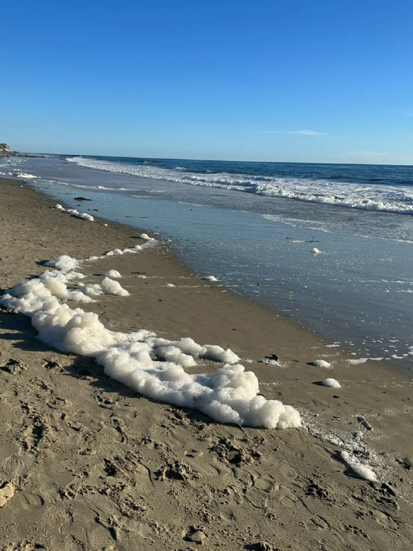 #加州   #日常  #生活 #加州海滩#加州   #日常  #生活 #加州海滩