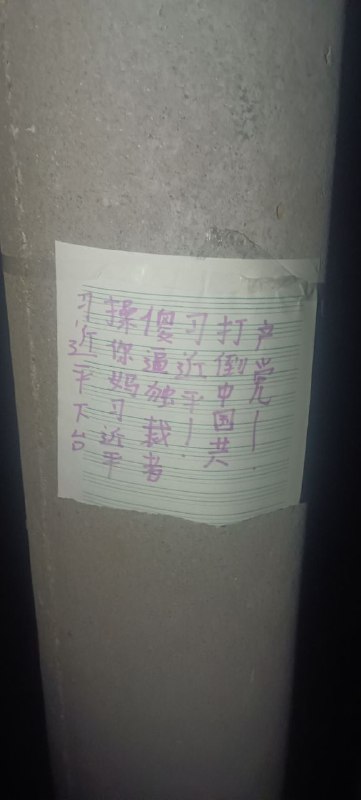 #大传单运动 #电线杆