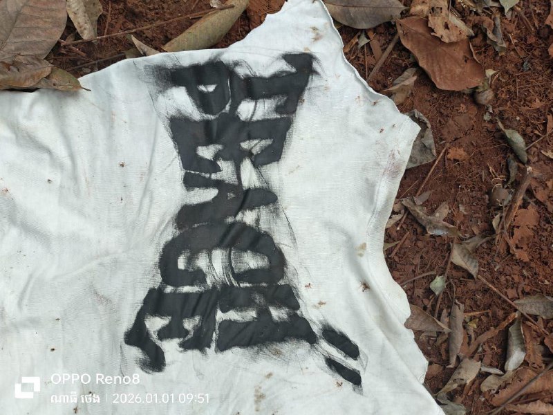 虐杀同胞后抛尸 6中国人在园区内被捕柬埔寨特本克蒙省一处橡胶园内发现一具无名男尸，生前被残忍杀害后抛尸，经警方调查后以涉嫌谋杀罪名，在一园区内抓捕了6名中国男子