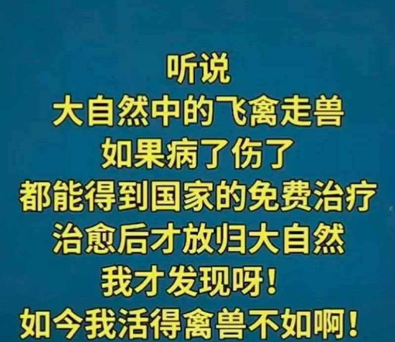 粉蛆看了有什么感想🤨