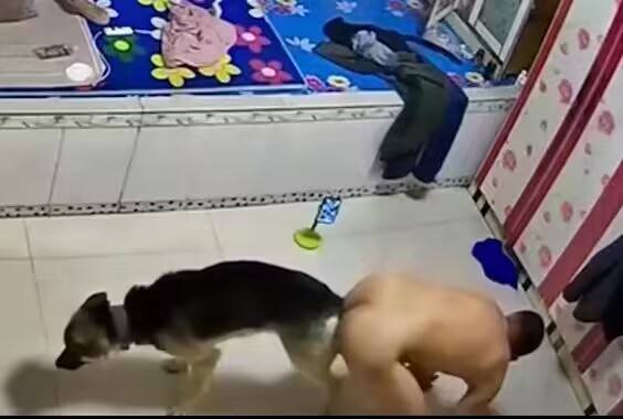 这个世界太疯狂了！#人兽 #狗 插屁眼