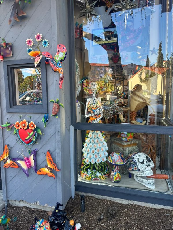 #加州   #日常  #生活 #加州海滩#加州   #日常  #生活 #加州海滩