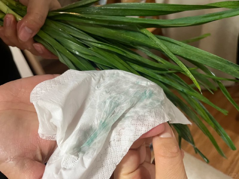 上海菜场买的韭菜，每天花着高价吃着药水，太可怕了#食品安全 #曝光上海菜场买的韭菜，每天花着高价吃着药水，太可怕了#食品安全 #曝光