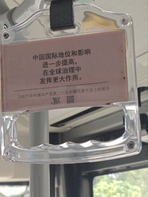 中国借着2001年加入WTO，以美国为首的西方发达国家跟中国做生意，才让中国人吃了20年饱饭，这个傻逼一上来就大开倒车，还要给全世界指明方向，有那时间不如恶补一下九年义务教育阶段没学到知识再出来丢人现眼