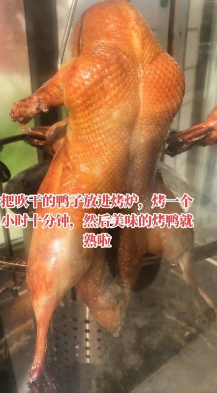 烧鸭 #科技与狠活 色素加25元冰冻白条鸭就是这样制作的烧鸭 #科技与狠活 色素加25元冰冻白条鸭就是这样制作的