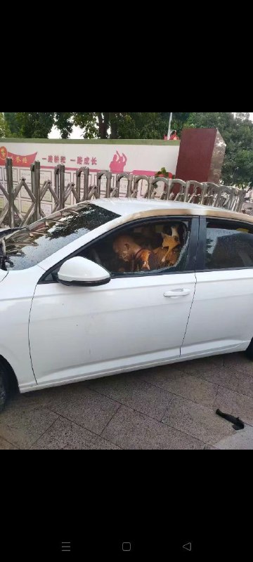 10月17日，福建省漳州市云霄县，下午放学，女司机点燃驾驶室，冲进学校大门，多人受伤