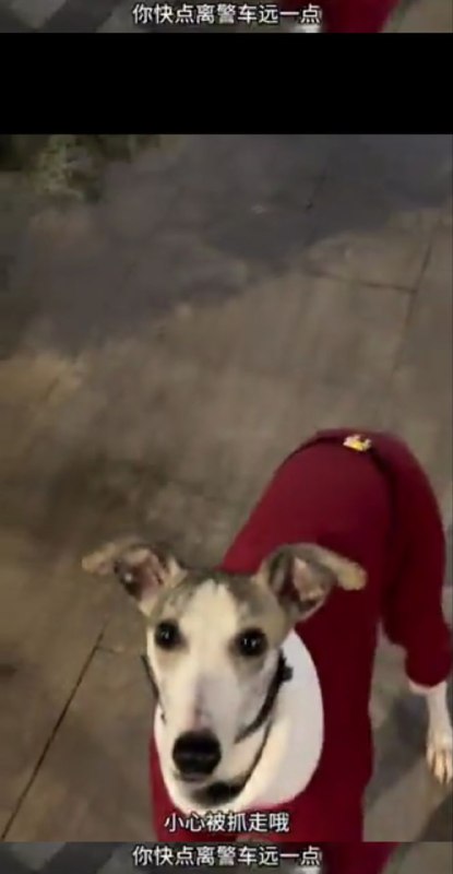 近日，居住在上海的一女博主发布视频