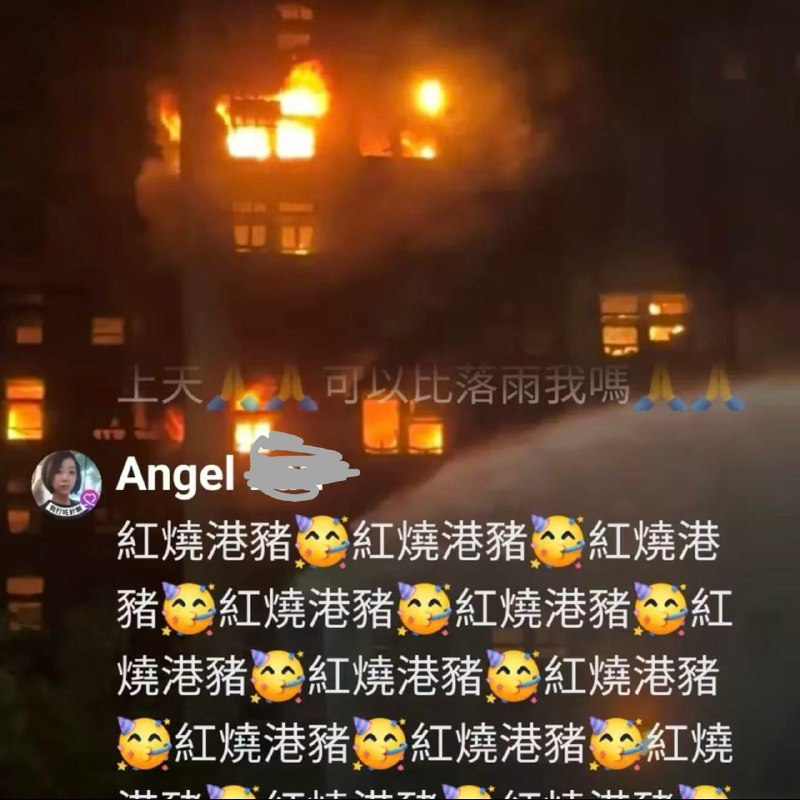 冷血至极！中国人欺负中国人，这不是偶然，而是制度与文化的深层病灶