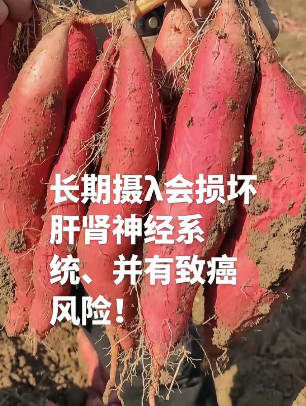 致命毒红薯已流遍20多省现在啥啥都有毒......食品安全问题日渐严重前两天才买了红薯，长得挺好看的，放那儿还没吃，不知道是不是天门挖出来的，所以，还能吃吗？ ​致命毒红薯已流遍20多省现在啥啥都有毒......食品安全问题日渐严重前两天才买了红薯，长得挺好看的，放那儿还没吃，不知道是不是天门挖出来的，所以，还能吃吗？ ​