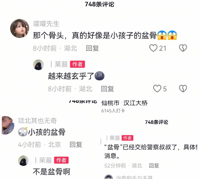 11月8日 湖北 武汉 汉江大桥 钓鱼佬在河边抓泥鳅时捡到一块 神秘骨头 评论区纷纷留言说是人类遗骸，吓得钓鱼佬 连夜将骨头送至附近警察局做鉴定 后续 
