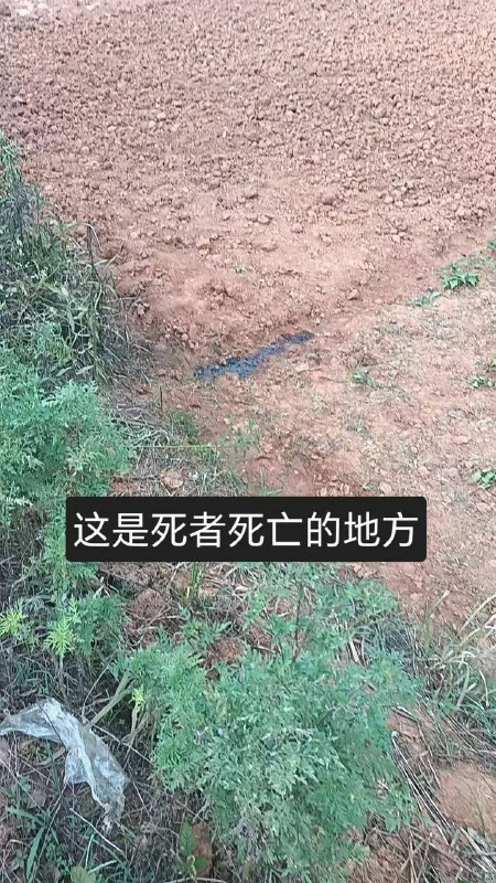 南昌一 农民工在草丛上厕所时，遭枪击身亡还敢随地大小便了吗？南昌一 农民工在草丛上厕所时，遭枪击身亡还敢随地大小便了吗？