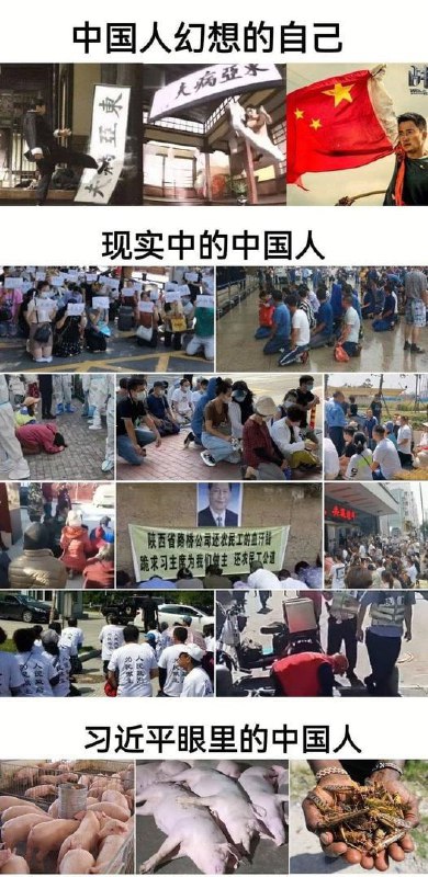 墙国人幻想的自己；现实中的墙国人；习近平眼里的墙国人