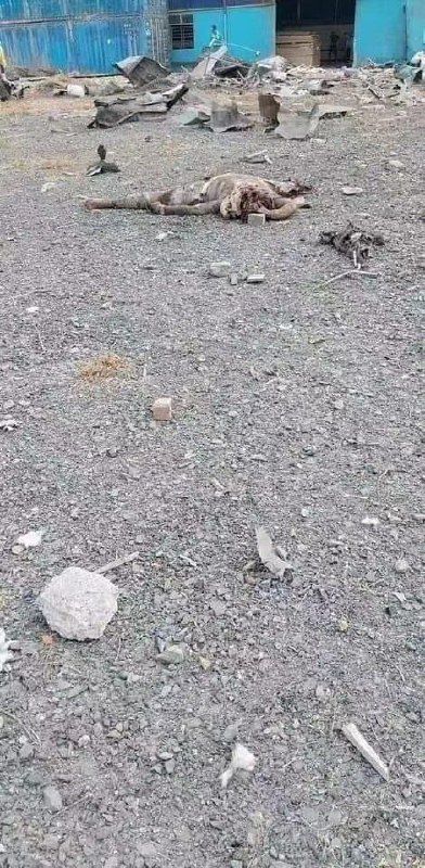 越南 同奈省（Dong Nai）一间 木材 #工厂 1日上午发生 #爆炸 事件，当时厂内约有30名员工正在工作，造成6人丧生，其中包括一名中国籍工人，还有另外7人受伤