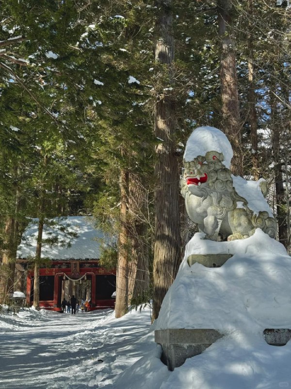 #日本  #长野  #户隐神社   #徒步  #户外徒步#日本  #长野  #户隐神社   #徒步  #户外徒步