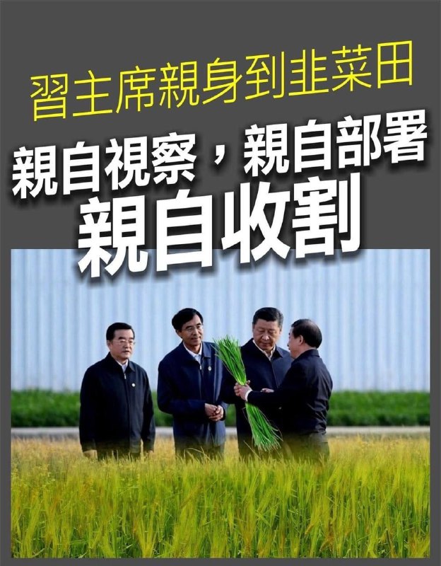 生动形象的宣传画精甚细腻