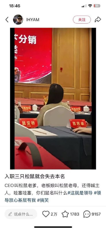 干部以上都会被分配一个鼠姓，普通员工还没资格鼠