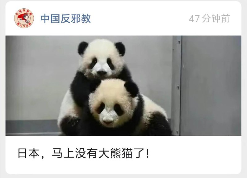 犯我中华者 不给熊猫玩🤬