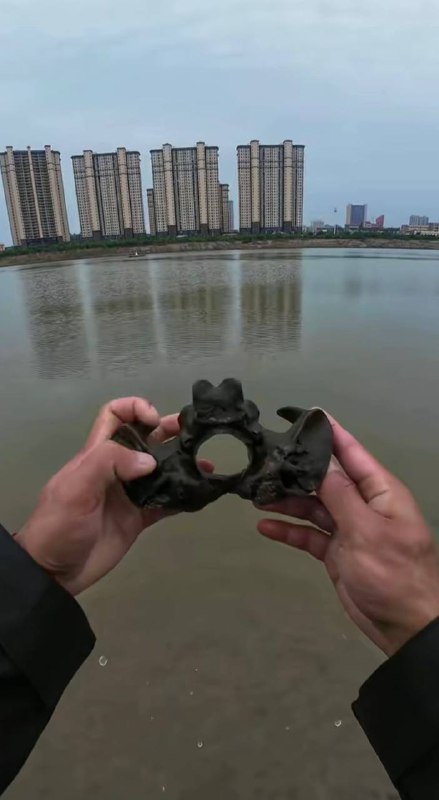 11月8日 湖北 武汉 汉江大桥 钓鱼佬在河边抓泥鳅时捡到一块 神秘骨头 评论区纷纷留言说是人类遗骸，吓得钓鱼佬 连夜将骨头送至附近警察局做鉴定 后续 