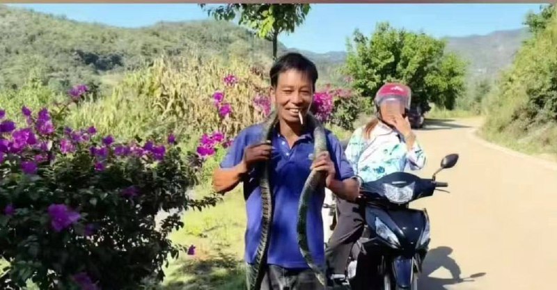 9月2日 贵州一男子误将剧毒 眼镜王蛇 当无毒乌梢蛇玩耍，被咬身亡9月2日 贵州一男子误将剧毒 眼镜王蛇 当无毒乌梢蛇玩耍，被咬身亡