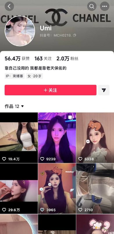 网传