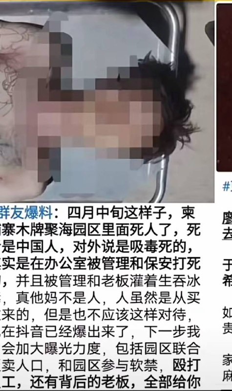 #网友投稿