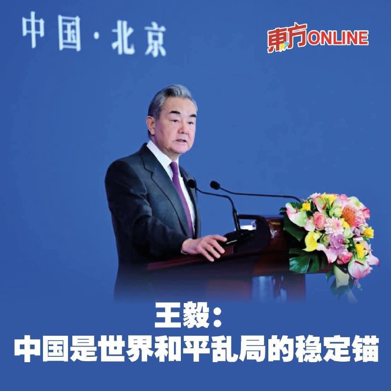稳定锚 还是 麻烦制造者🤔