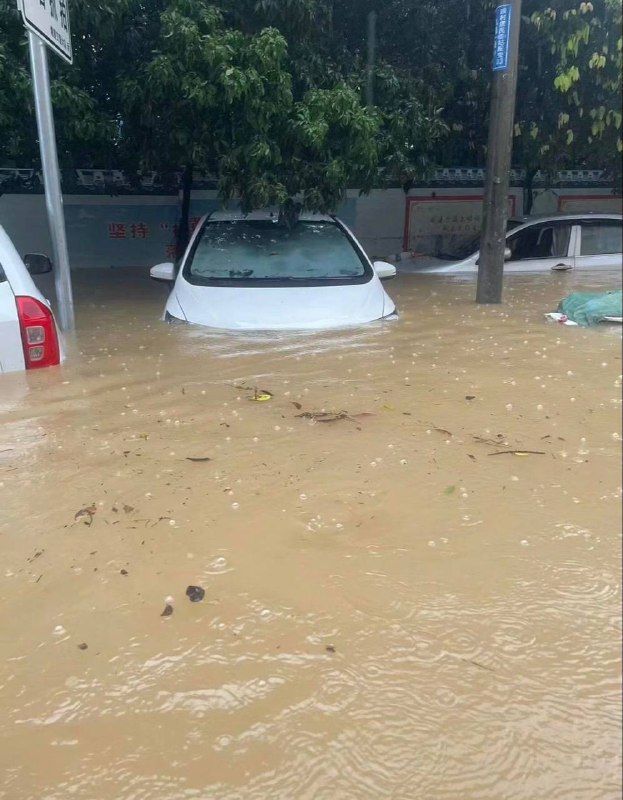 车主要哭死一大片～#长沙暴雨车主要哭死一大片～#长沙暴雨