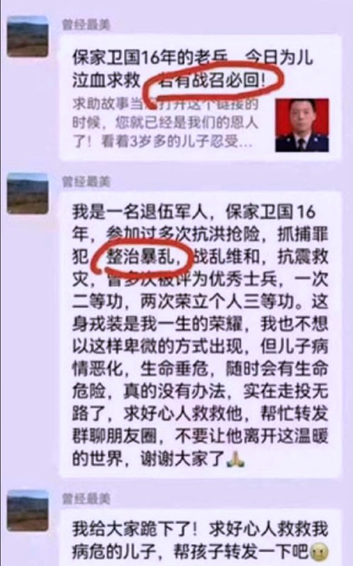 就你？算个JB毛