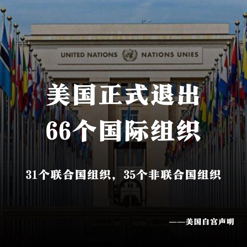 #中国赢麻了