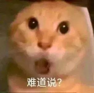致敬十八轰炸队！虽然天天乳包，但比起腊肉家族，还真是包包好，属于是两坨屎里面比哪坨味道淡了😞致敬十八轰炸队！虽然天天乳包，但比起腊肉家族，还真是包包好，属于是两坨屎里面比哪坨味道淡了😞