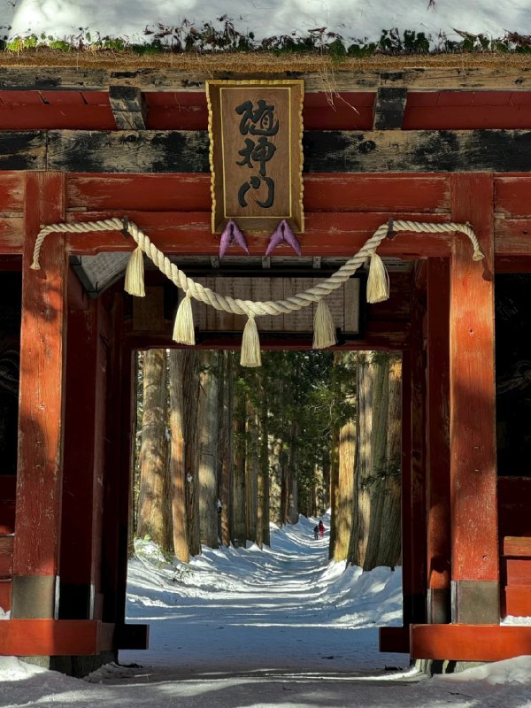 #日本  #长野  #户隐神社   #徒步  #户外徒步#日本  #长野  #户隐神社   #徒步  #户外徒步