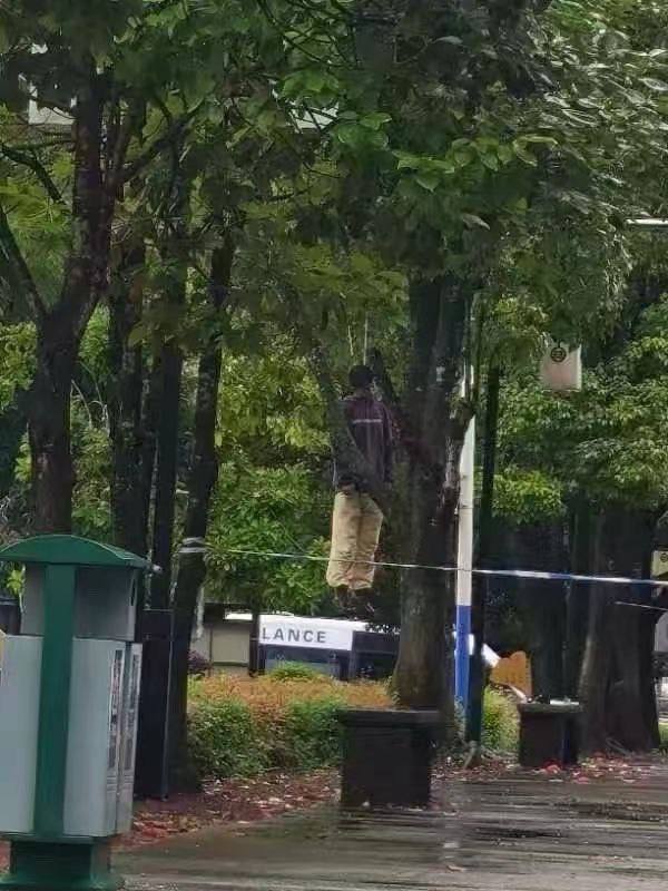 殉情 #上吊殉情 #上吊