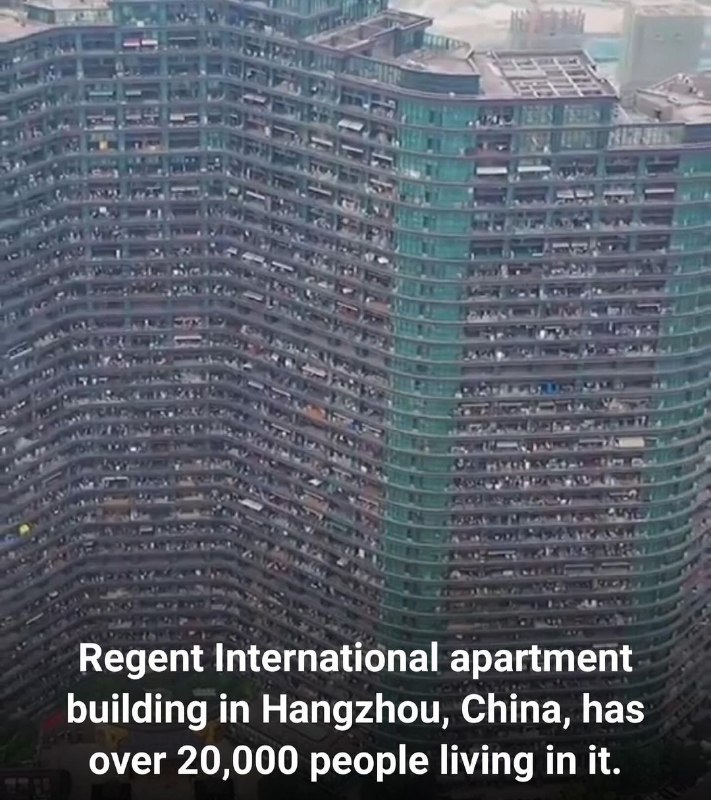 论为什么中国没有流浪汉，美国人愿意住这样的房子吗