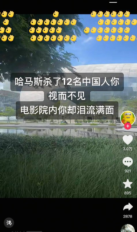 墙内小粉红目前不知为何，集体以为OK👌手势能让以色列人破防🤪🤣😆